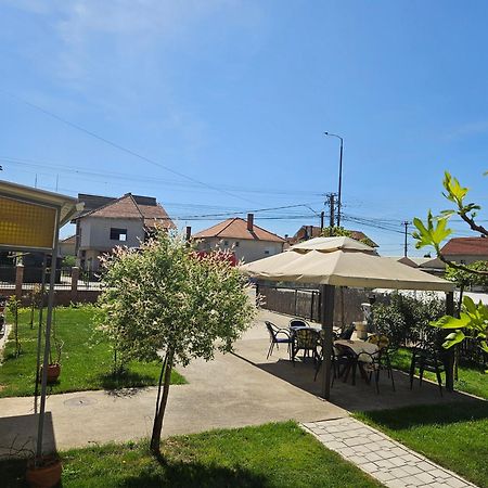 Apartments Kuca Aleksic Ниш Екстер'єр фото