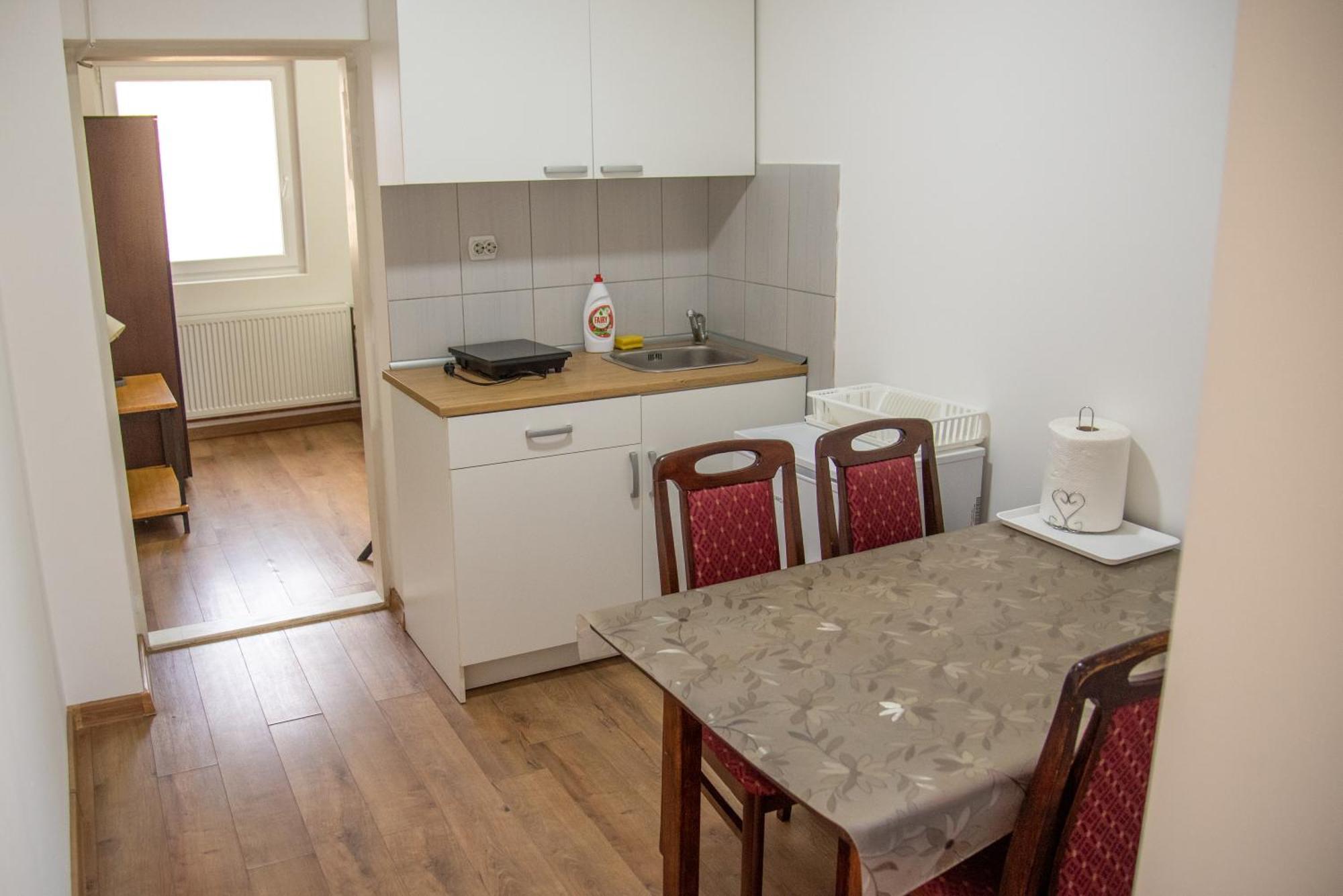 Apartments Kuca Aleksic Ниш Екстер'єр фото