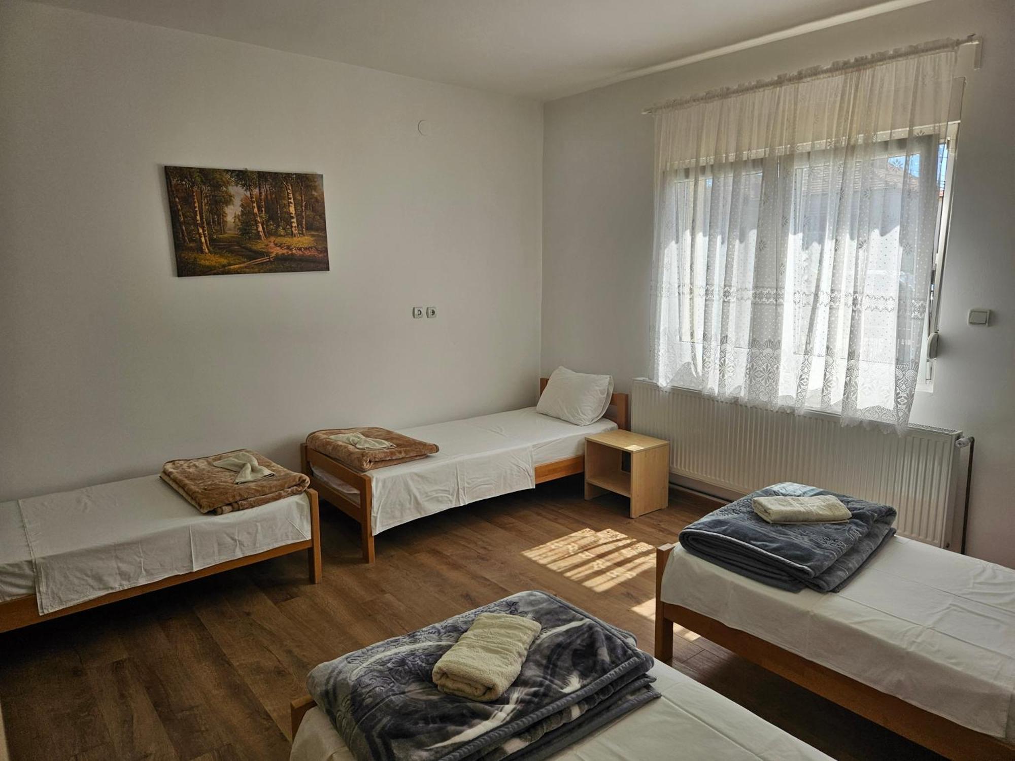 Apartments Kuca Aleksic Ниш Екстер'єр фото