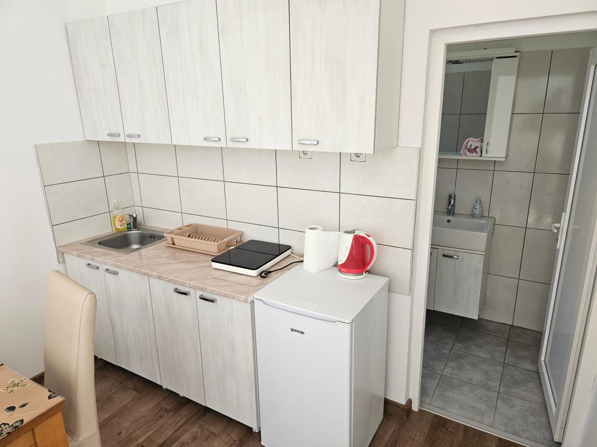 Apartments Kuca Aleksic Ниш Екстер'єр фото